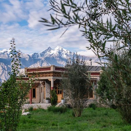 Lchang Nang Retreat-The House Of Trees-Nubra Valley Ξενοδοχείο Sumur Εξωτερικό φωτογραφία