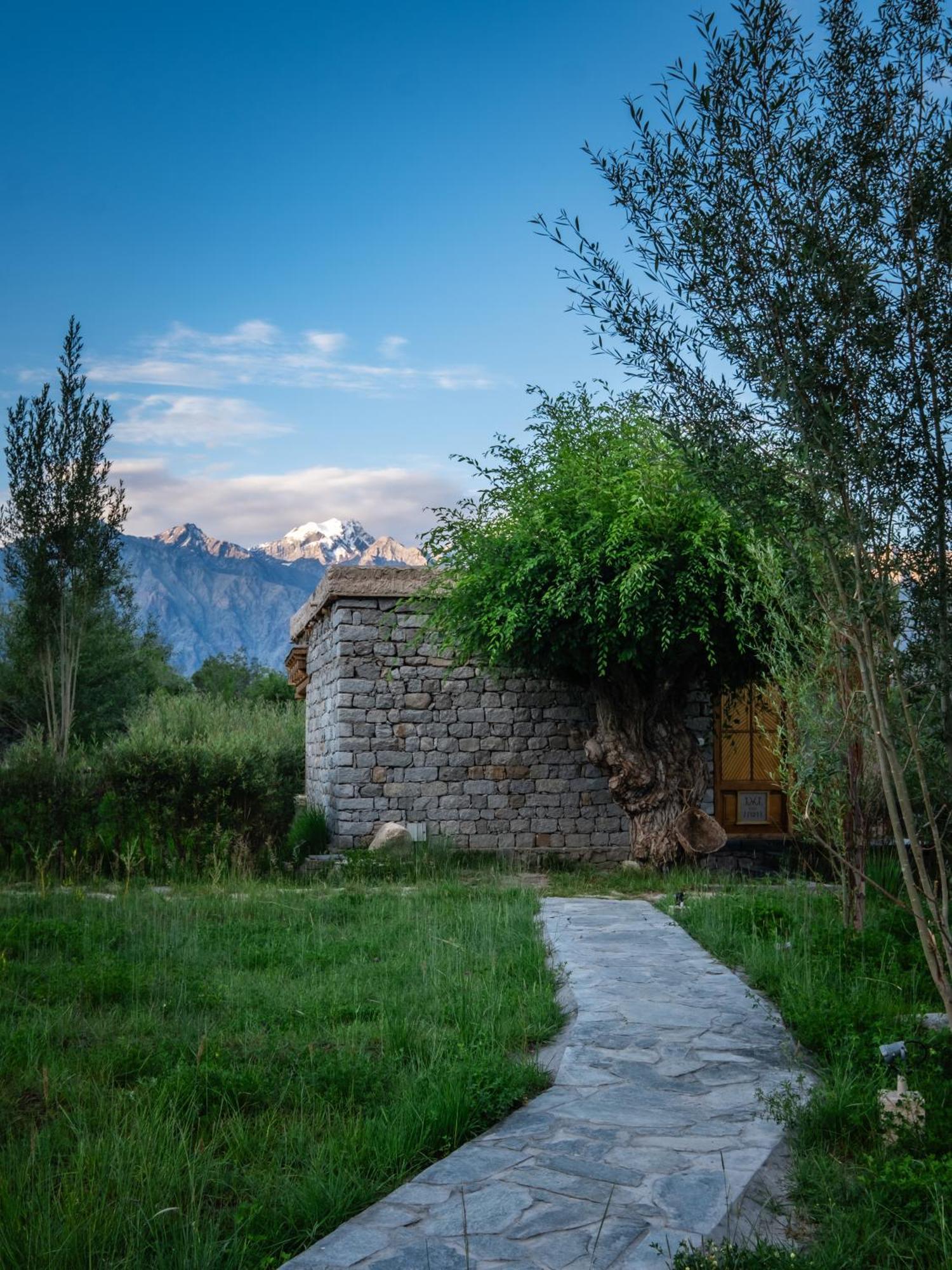 Lchang Nang Retreat-The House Of Trees-Nubra Valley Ξενοδοχείο Sumur Εξωτερικό φωτογραφία